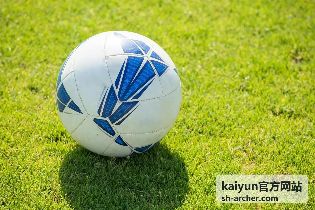 kaiyun官方网站平台数据对接实施流程